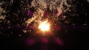 Aug 22-2-Samurai Innovation 90 Day Sunrise Goal
