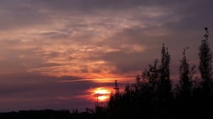 Aug 23-3-Samurai Innovation 90 Day Sunrise Goal