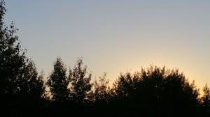 Aug 28-1-Samurai Innovation 90 Day Sunrise Goal
