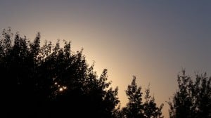 Aug 28-2-Samurai Innovation 90 Day Sunrise Goal
