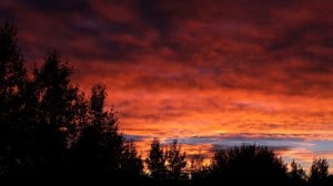 Aug 30-3-Samurai Innovation 90 Day Sunrise Goal