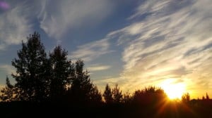 Sept 2-1-Samurai Innovation 90 Day Sunrise Goal