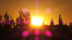 Sept 10-1-Samurai Innovation 90 Day Sunrise Goal