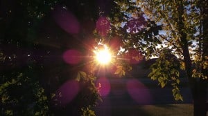 Sept  28-3-Samurai Innovation 90 Day Sunrise Goal