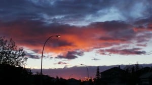 Sept  30-1-Samurai Innovation 90 Day Sunrise Goal