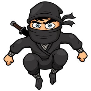 This Ninja will Steal Your Productivty