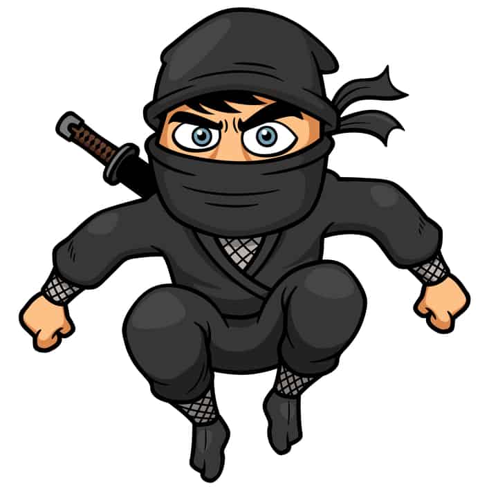 This Ninja will Steal Your Productivty