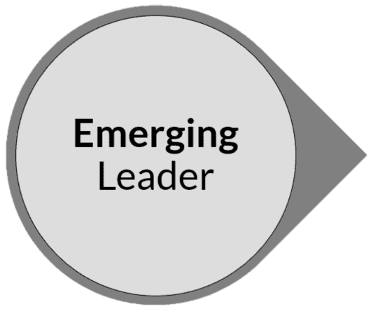 Emerging Leader By Samurai Innovation-2020 Emerging Leader By Samurai Innovation